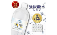 ＜毎月定期便＞＜関東のみお届け＞ 強 炭酸水レモン 1L 12本 計12L サーフ爽雫 ソーダ全3回【4055693】