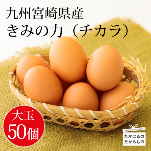 宮崎県産の赤たまご『きみの力(チカラ)』大容量75個Lサイズの赤卵 ミネラルたっぷりのカキガラや上質な飼料ですくすく育った鶏の卵は甘くておいしい逸品 [新鮮 たまご L玉 玉子 大玉 8000円 8千円 ワンストップオンライン] TF0793-P00035 1467363 - 宮崎県高原町