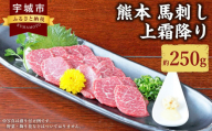 熊本 馬刺し 上霜降り 250g （50g×5個） 馬肉 馬 お肉 肉 馬刺 霜降り 生姜 醤油たれ 熊本県 冷凍