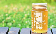 MINOKAMO HONEY はちみつ 3本（500g×3） 合計1500g｜ 藤井養蜂 蜂蜜 非加熱 百花蜜 国産 甘味料 美濃加茂市