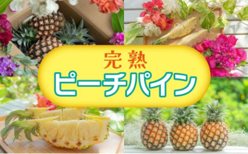 【ピーチ定期便★約4Kg×3回】☆新感覚☆ 桃のような芳醇な香りのする『西表島産 完熟ピーチパイン』 1467864 - 沖縄県竹富町