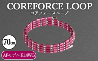 No.120-03 コアフォースループ　AFモデル　K14WG　70cm ／ COREFORCE アクセサリー コアフォースパウダー 特殊技術 健やか 埼玉県