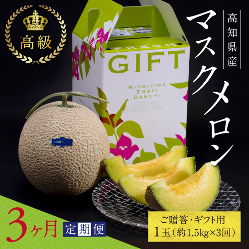 t062sks　《3ヶ月定期便》高知県産 高級マスクメロン（ご贈答・ギフト用）1玉入 【発送期間：4月～12月（9カ月）】【1月～3月は気候温度不安定の為出荷不可となります。】〈南国市共通返礼品〉 146805 - 高知県芸西村
