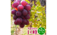 紀州和歌山産 巨峰ぶどう 約2kg ※2025年8月下旬頃〜2025年9月上旬頃に順次発送 ※日付指定不可 巨峰 ぶどう ブドウ 葡萄 果物 くだもの フルーツ【uot784A】