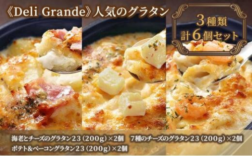 《Deli Grande》人気のグラタン 3種類 6個セット【冷凍】 1468381 - 静岡県静岡市