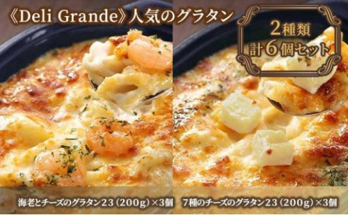 《Deli Grande》人気のグラタン 2種類 6個セット【冷凍】 1468383 - 静岡県静岡市