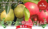 【令和6年産先行予約】 ラ･フランス & 完熟ふじりんご 詰合せ 約5kg (2L～3L) 《令和6年11月上旬～発送》 【全国りんご選手権 銀賞】 『船中農園』 山形県 南陽市 [2176]