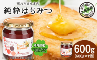 東神楽産採れたまんまの純粋はちみつ 600ｇ1個【9月採蜜】オオハンゴンソウ・イタドリ 蜂蜜 ハチミツ