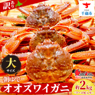 北海道産【 朝ゆで 】訳ありオオズワイガニ 2.0kg詰 ＜かにのマルマサ＞道産品 オオズワイ ズワイガニ ずわい蟹 カニ 蟹 規格外品 不揃い 訳アリ 訳有り