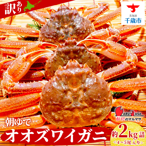 北海道産【 朝ゆで 】訳ありオオズワイガニ 2.0kg詰 ＜かにのマルマサ＞道産品 オオズワイ ズワイガニ ずわい蟹 カニ 蟹 規格外品 不揃い 訳アリ 訳有り 1469227 - 北海道千歳市