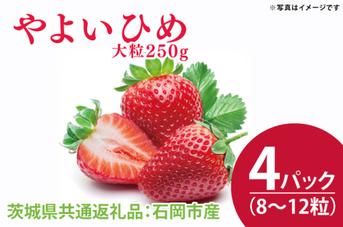 【先行予約】やよいひめ 大粒250g（8〜12粒）×4パック（茨城県共通返礼品：石岡市産）合計約1kg　※2024年12月初旬～2025年3月下旬頃に順次発送予定(CD003） 1469427 - 茨城県大子町