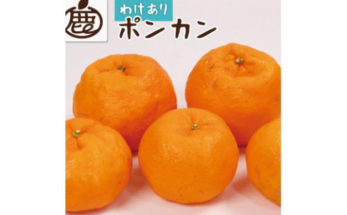 ＜1月より発送＞家庭用 ポンカン2kg+60g（傷み補償分）【訳あり・わけあり】【光センサー選別】【IKE22】 1469466 - 和歌山県那智勝浦町