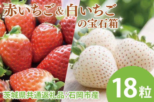 【先行予約】赤いちごと白いちごの宝石箱 18粒（茨城県共通返礼品：石岡市産）　※2024年12月初旬～2025年3月下旬頃に順次発送予定(CD005) 1469540 - 茨城県大子町