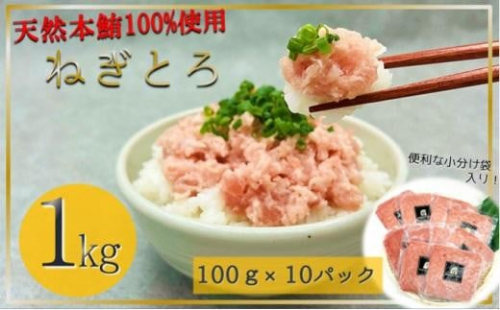 天然本鮪 ねぎとろ 計1kg：100g 10パックセット【静岡市清水】冷凍  マグロ  たたき ネギトロ丼 手巻き寿司 小分け 即席 海の幸 【配送不可：離島】 1469556 - 静岡県静岡市