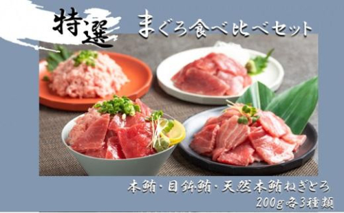 まぐろ食べ比べセット 計600g (200g 3種)：本鮪切落し200ｇ メバチ鮪切落し200ｇ 天然本鮪ねぎとろ200ｇ【静岡市清水】冷凍  マグロ  たたき ネギトロ丼 手巻き寿司 小分け 即席 海の幸 【配送不可：離島】 1469559 - 静岡県静岡市