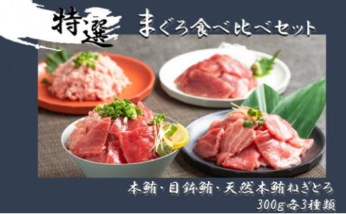 まぐろ食べ比べセット 計900g (300g 3種)：本鮪切落し300ｇ メバチ鮪切落し300ｇ 天然本鮪ねぎとろ300ｇ【静岡市清水】冷凍  マグロ  たたき ネギトロ丼 手巻き寿司 小分け 即席 海の幸 【配送不可：離島】 1469560 - 静岡県静岡市