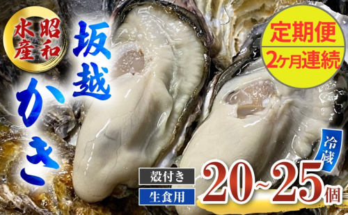 定期便 牡蠣 生食用 坂越かき 殻付き 20～25個《2ヶ月連続お届け》 昭和水産 [ 生牡蠣 真牡蠣 かき カキ 冬牡蠣 ] 1469562 - 兵庫県赤穂市