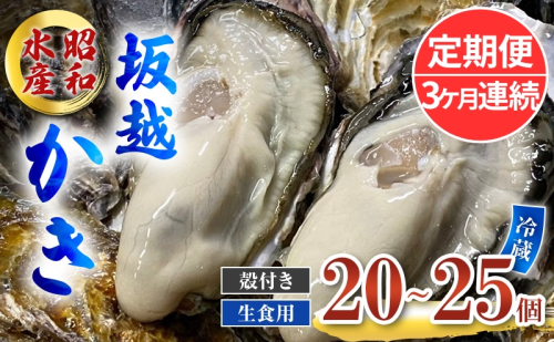 定期便 牡蠣 生食用 坂越かき 殻付き 20～25個《3ヶ月連続お届け》 昭和水産 [ 生牡蠣 真牡蠣 かき カキ 冬牡蠣 ] 1469563 - 兵庫県赤穂市