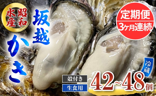 定期便 牡蠣 生食用 坂越かき 殻付き 42～48個《3ヶ月連続お届け》 昭和水産 [ 生牡蠣 真牡蠣 かき カキ 冬牡蠣 ] 1469565 - 兵庫県赤穂市