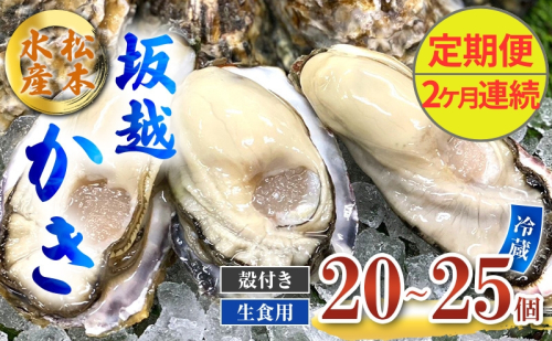 定期便 牡蠣 生食用 坂越かき 殻付き 20～25個《2ヶ月連続お届け》 松本水産 [ 生牡蠣 真牡蠣 かき カキ 冬牡蠣 ] 1469566 - 兵庫県赤穂市