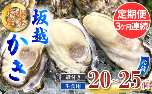 定期便 牡蠣 生食用 坂越かき 殻付き 20～25個《3ヶ月連続お届け》 松本水産 [ 生牡蠣 真牡蠣 かき カキ 冬牡蠣 ] 1469567 - 兵庫県赤穂市