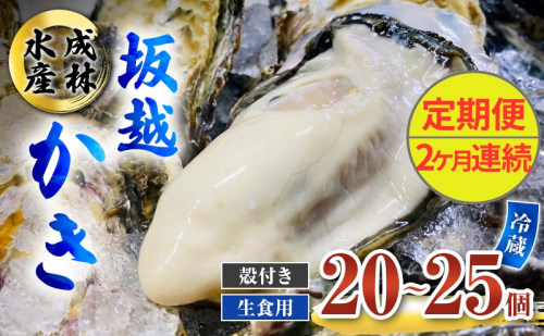 定期便 牡蠣 生食用 坂越かき 殻付き 20～25個《2ヶ月連続お届け》 成林水産 [ 生牡蠣 真牡蠣 かき カキ 冬牡蠣 ] 1469570 - 兵庫県赤穂市