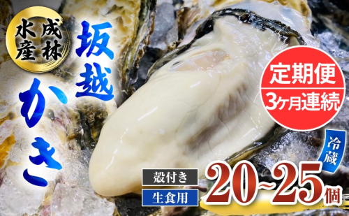 定期便 牡蠣 生食用 坂越かき 殻付き 20～25個《3ヶ月連続お届け》 成林水産 [ 生牡蠣 真牡蠣 かき カキ 冬牡蠣 ] 1469571 - 兵庫県赤穂市