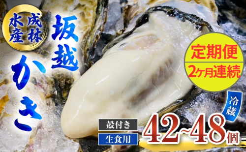 定期便 牡蠣 生食用 坂越かき 殻付き 42～48個《2ヶ月連続お届け》 成林水産 [ 生牡蠣 真牡蠣 かき カキ 冬牡蠣 ] 1469572 - 兵庫県赤穂市