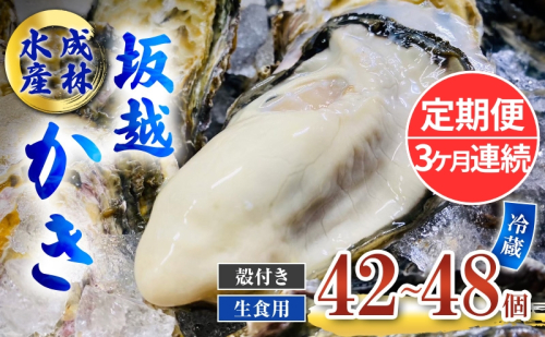 定期便 牡蠣 生食用 坂越かき 殻付き 42～48個《3ヶ月連続お届け》 成林水産 [ 生牡蠣 真牡蠣 かき カキ 冬牡蠣 ] 1469573 - 兵庫県赤穂市