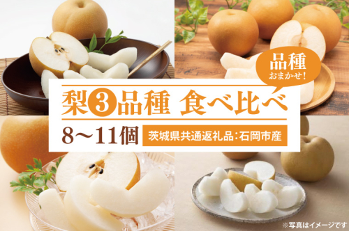 梨 3品種 食べ比べ 8～11個（茨城県共通返礼品：石岡市産） ※2024年8月～11月下旬頃に順次発送予定（CD073） 1469584 - 茨城県大子町