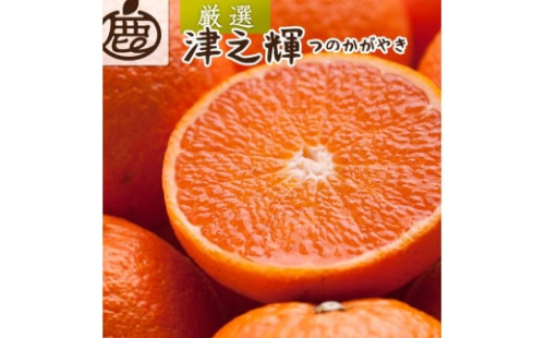 ［先行予約］厳選 津之輝1kg+250g（傷み補償分）［つのかがやき］［せとかに似た柑橘］［光センサー選果］［IKE55］ 1469650 - 和歌山県那智勝浦町