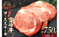 [最上等級使用!] 牛肉 宮崎牛 ロース ステーキ 250g × 3枚 計750g [ミヤチク 宮崎県 日向市 452060772] 小分け 個包装 和牛 ブランド牛 黒毛和牛 冷凍 4等級 5等級