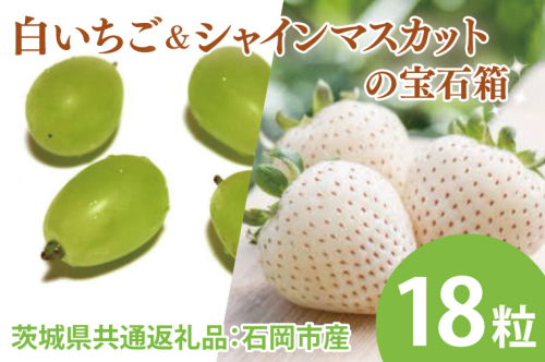 【先行予約】白いちごとシャインマスカットの宝石箱 18粒（茨城県共通返礼品：石岡市産とかすみがうら市産）　※2024年12月初旬～2025年1月下旬頃に順次発送予定（CD007） 1469828 - 茨城県大子町