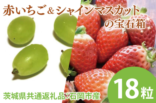 【先行予約】赤いちごとシャインマスカットの宝石箱 18粒（茨城県共通返礼品：石岡市産とかすみがうら市産）　※2024年12月初旬～2025年1月下旬頃に順次発送予定（CD009） 1469835 - 茨城県大子町