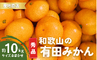 【10月発送】秀品 有田みかん 和歌山県産 S～Lサイズ 大きさお任せ 10kg / みかん フルーツ 果物 くだもの 有田みかん 蜜柑 柑橘【ktn003-10】