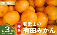 【11月発送】秀品 有田みかん 和歌山県産 S～Lサイズ 大きさお任せ 3kg / みかん フルーツ 果物 くだもの 有田みかん 蜜柑 柑橘【ktn001-11】