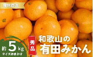 【10月発送】秀品 有田みかん 和歌山県産 S～Lサイズ 大きさお任せ 5kg / みかん フルーツ 果物 くだもの 有田みかん 蜜柑 柑橘【ktn002-10】