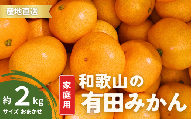 【10月発送】 ご家庭用 有田みかん 和歌山 S～Lサイズ 大きさお任せ 2kg / みかん フルーツ 果物 くだもの 有田みかん 蜜柑 柑橘【ktn005-10】