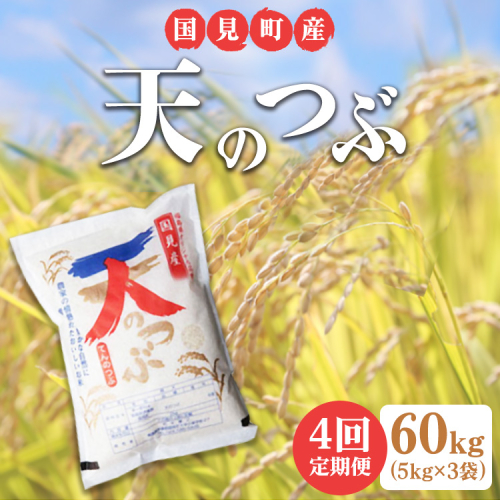 【全4回定期便】【令和6年産】米　国見町産　天のつぶ 60kg　5kg×3袋　4回定期便 ※九州・沖縄県・離島への配送不可 ※2024年10月中旬～2025年4月頃に順次発送予定 1469932 - 福島県国見町