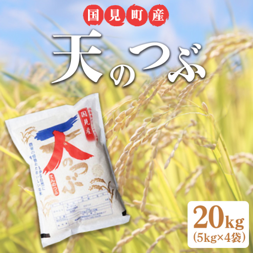 【令和6年産】米　国見町産　天のつぶ 20kg　5kg×4袋 ※九州・沖縄県・離島への配送不可 ※2024年10月中旬～2025年2月頃に順次発送予定 1469939 - 福島県国見町