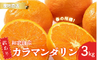 【先行予約】訳あり 有田 カラマンダリン なつみ 春のみかん 2S～3Lサイズ混合 3kg【2025年4月上旬～5月上旬までに順次発送予定】/ みかん フルーツ 果物 くだもの 蜜柑 柑橘【ktn038】