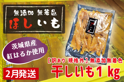  先行予約 訳あり 無添加 無着色 干しいも 1kg（パック詰め) 2月発送 冷蔵 規格外 不揃い 平干し 紅はるか 干し芋 ほしいも 国産 茨城 茨城県産 紅はるか 送料無料 わけあり 1470499 - 茨城県大洗町