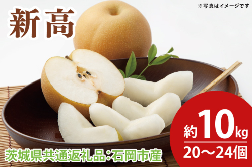 新高 約10kg 20～24個（茨城県共通返礼品：石岡市産）※2024年10月上旬～10月下旬頃に順次発送予定（CD067） 1470611 - 茨城県大子町