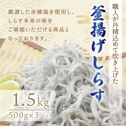 釜揚げしらす1.5kg(500g×3パック) 1471026 - 和歌山県御坊市