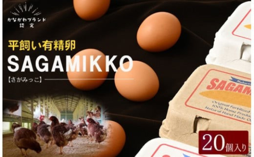 《かながわブランド認定》平飼い有精卵さがみっこ 10個入り×2パック 計20個 | 平飼い ケージフリー 卵 有精卵 鶏卵 玉子 たまご 生卵 国産 濃厚 コク 旨味 ※離島への配送不可 1471028 - 神奈川県相模原市