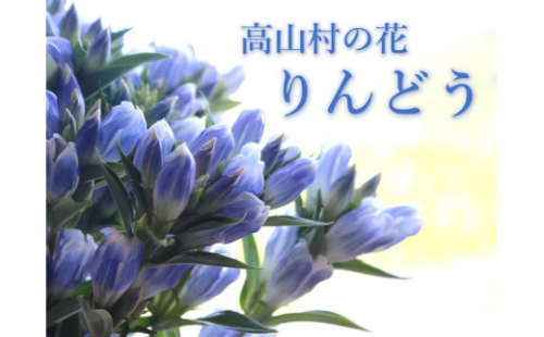 高山村の花　りんどう　　20本 1471073 - 群馬県高山村