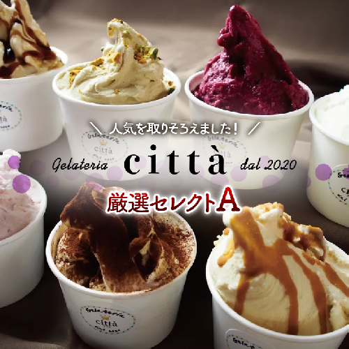 チッタジェラート”厳選セレクトA” 12個 | ミルク 濃厚 人気 アイス カップ デザート おやつ スイーツ ご褒美 ミヤコ農園 citta 1471311 - 神奈川県相模原市