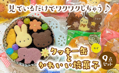 クッキー缶とかわいい焼菓子9点セット◇
※着日指定不可 1471324 - 神奈川県相模原市