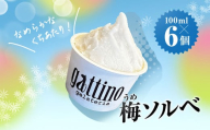 gelateria gattino 安中市秋間梅林の梅ソルベ(シャーベット)６個 /ANBB003