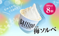 gelateria gattino 安中市秋間梅林の梅ソルベ(シャーベット)８個 /ANBB004